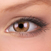 Cheerful Woody Brown 2tk